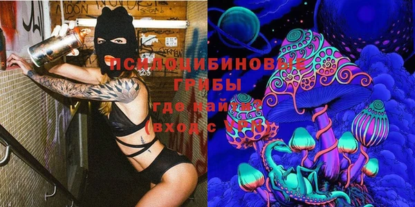 спайс Аркадак