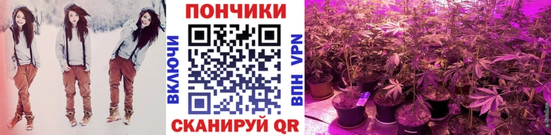 МАРИХУАНА тримм  KRAKEN tor  Крым 